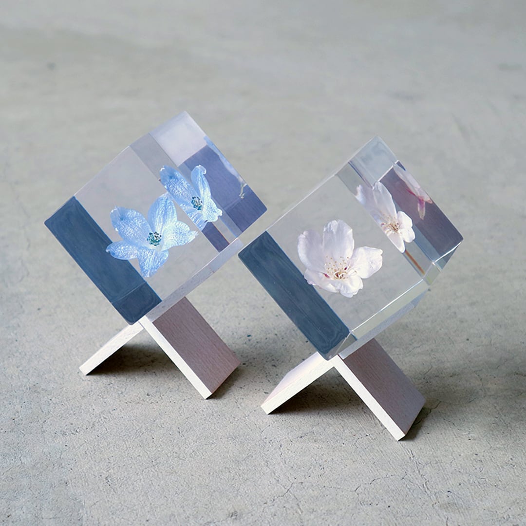 solacube stand［solacube］ | REAL Style online shop