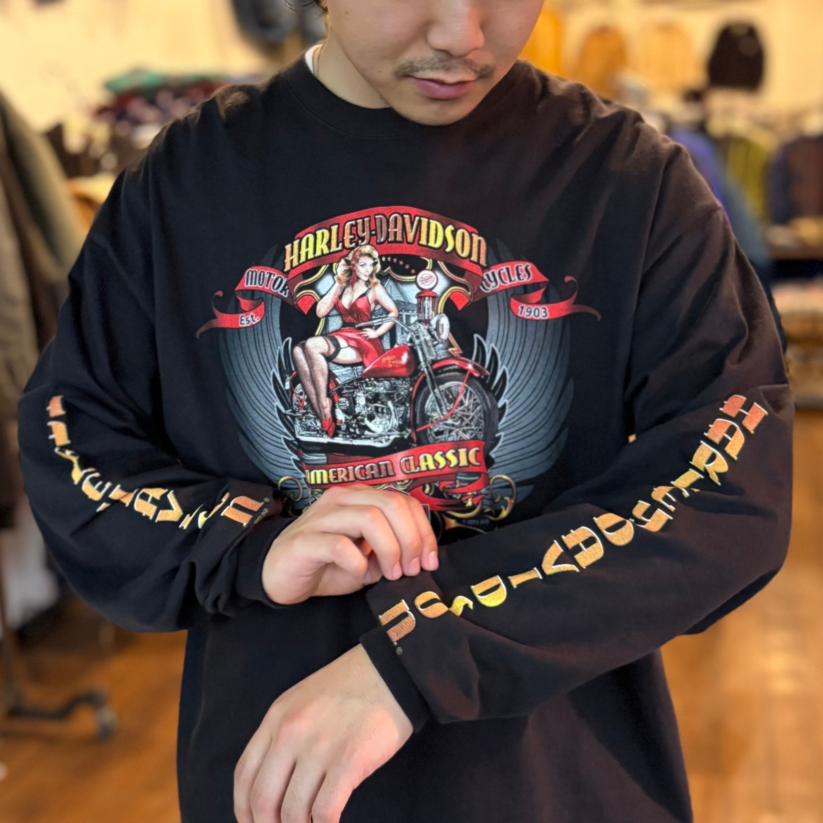 WillieG(R)スカルTシャツ -ハーレーダビッドソン公式オンライン 