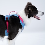 ※予約【puppygallery公式】 Go mentum harness L-XL