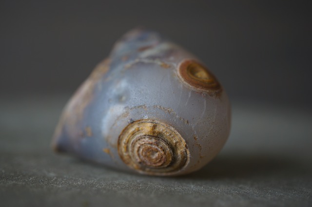 ゴビアゲート Gobi Agate 2383