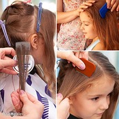 OWNHEALER シラミくしセット 3個入り シラミ 卵の検出・除去 子供から大人まで対応 含まれるもの インストラクション 収納用カバー