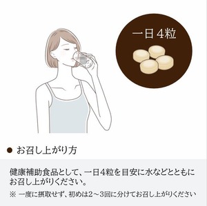 酵素 乳酸菌サプリ -１か月分- 酵母 麹 デキストリン キダチアロエ配合 腸からキレイを目指すあなたへ