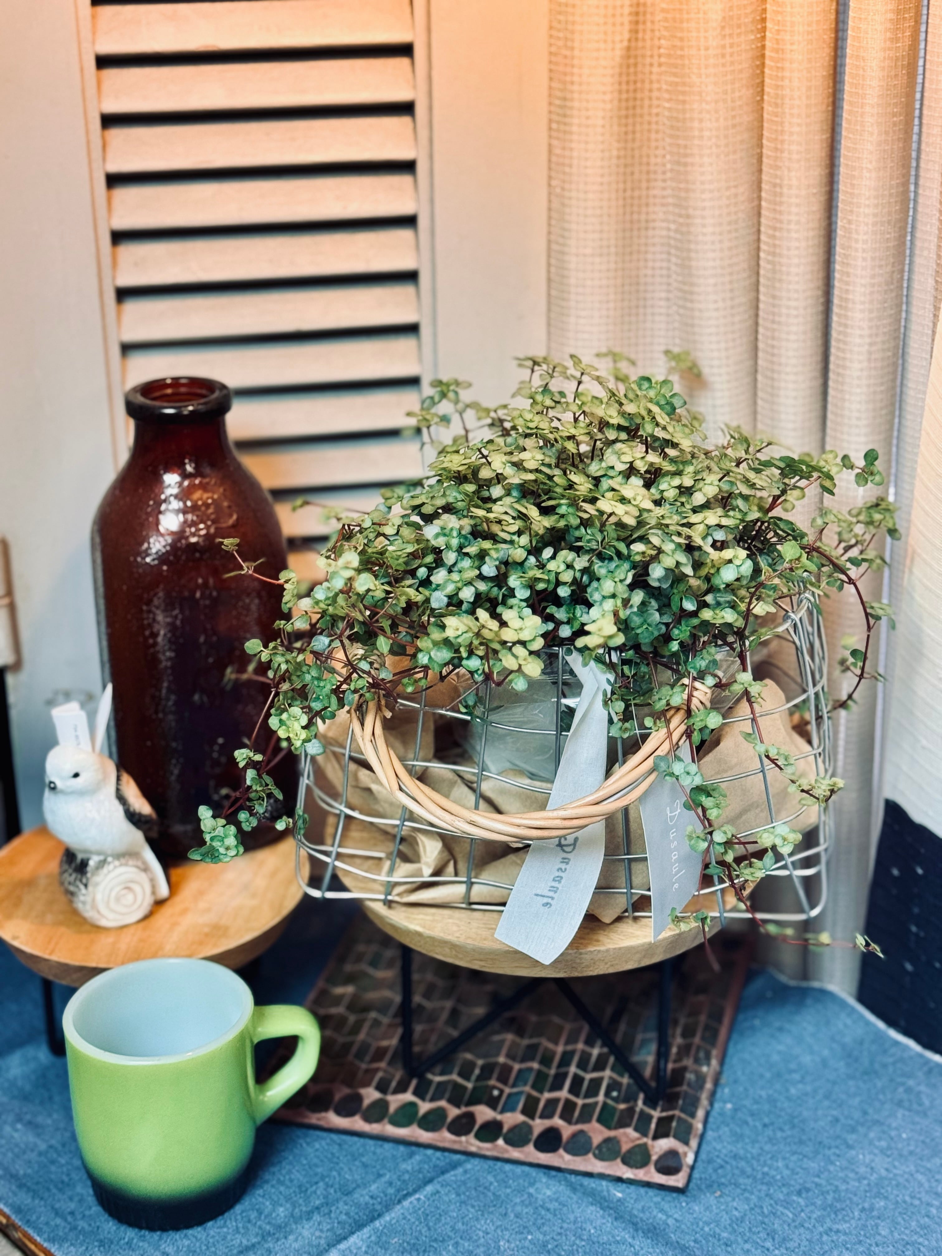 花かんむり - ローズ | hues design online store