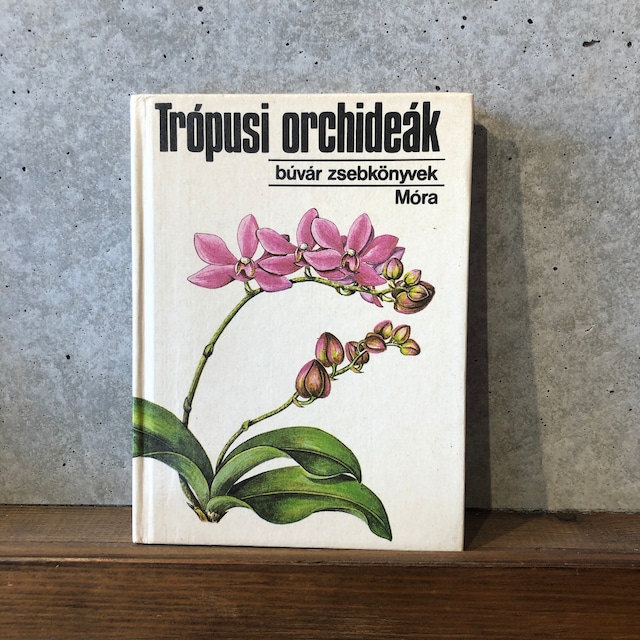 TROPSI ORCHIDEAK