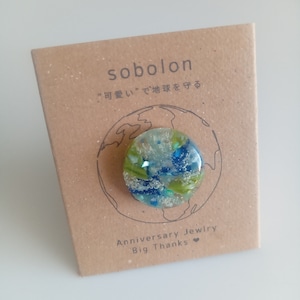 【AnniversaryJewelry】THE EARTH（シリアルナンバー入り）---ピンバッジorブローチ---