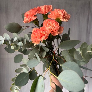 【お宝商品　即出荷】カーネーション＆ユーカリ　＜オレンジ＞　1束