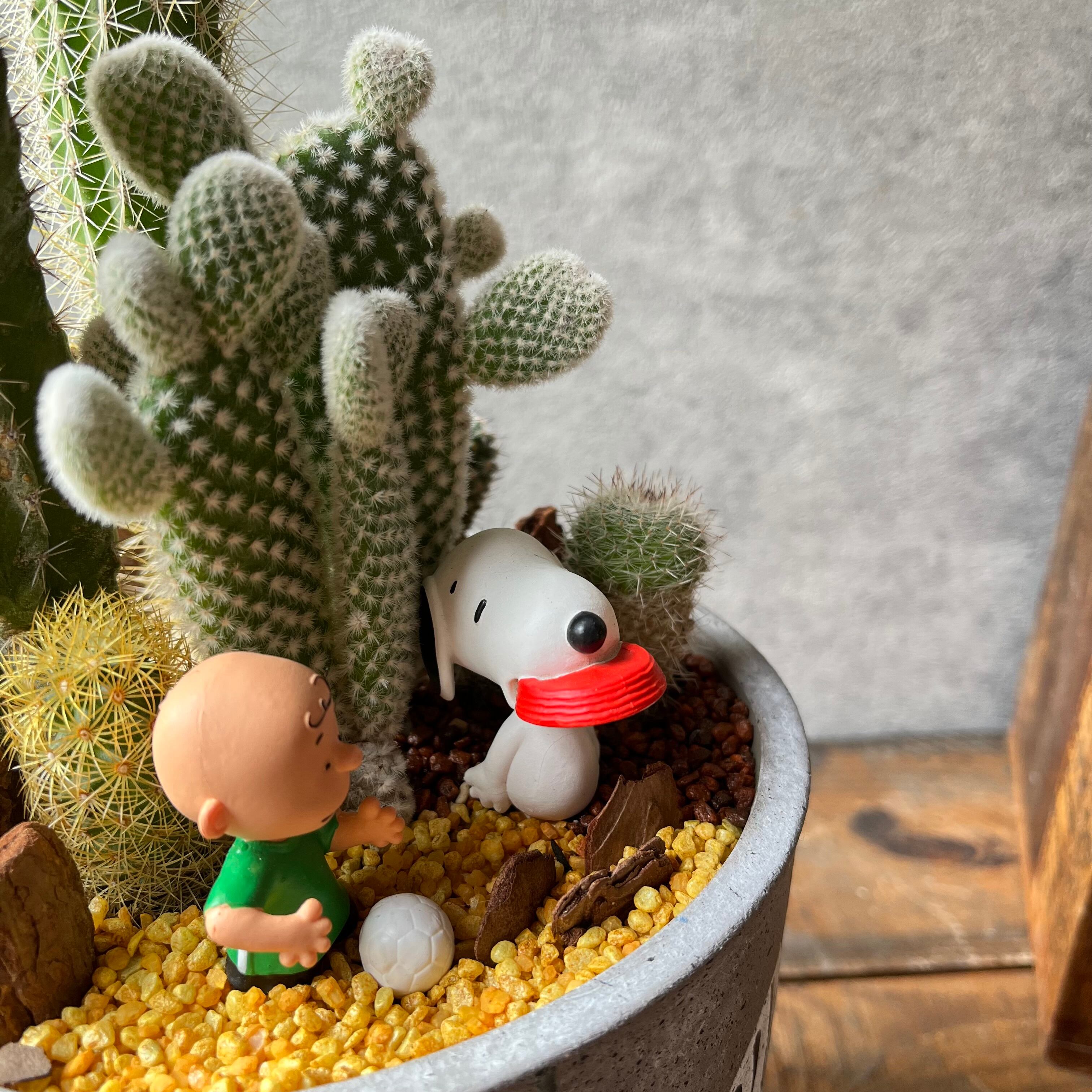 【新品】maison de sabre スイカ　PEANUTS スヌーピーコラボ 新品】maison de sabre スイカ PEANUTS スヌーピーコラボ - メルカリ