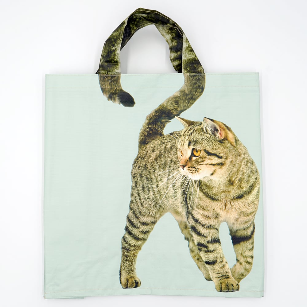 金魚鉢の側の猫 一閑張り バッグ かごバッグ ハンドバッグ 猫 茶トラ キジトラ 金魚鉢の側の猫 一閑張り バッグ かごバッグ ハンドバッグ 猫 茶トラ