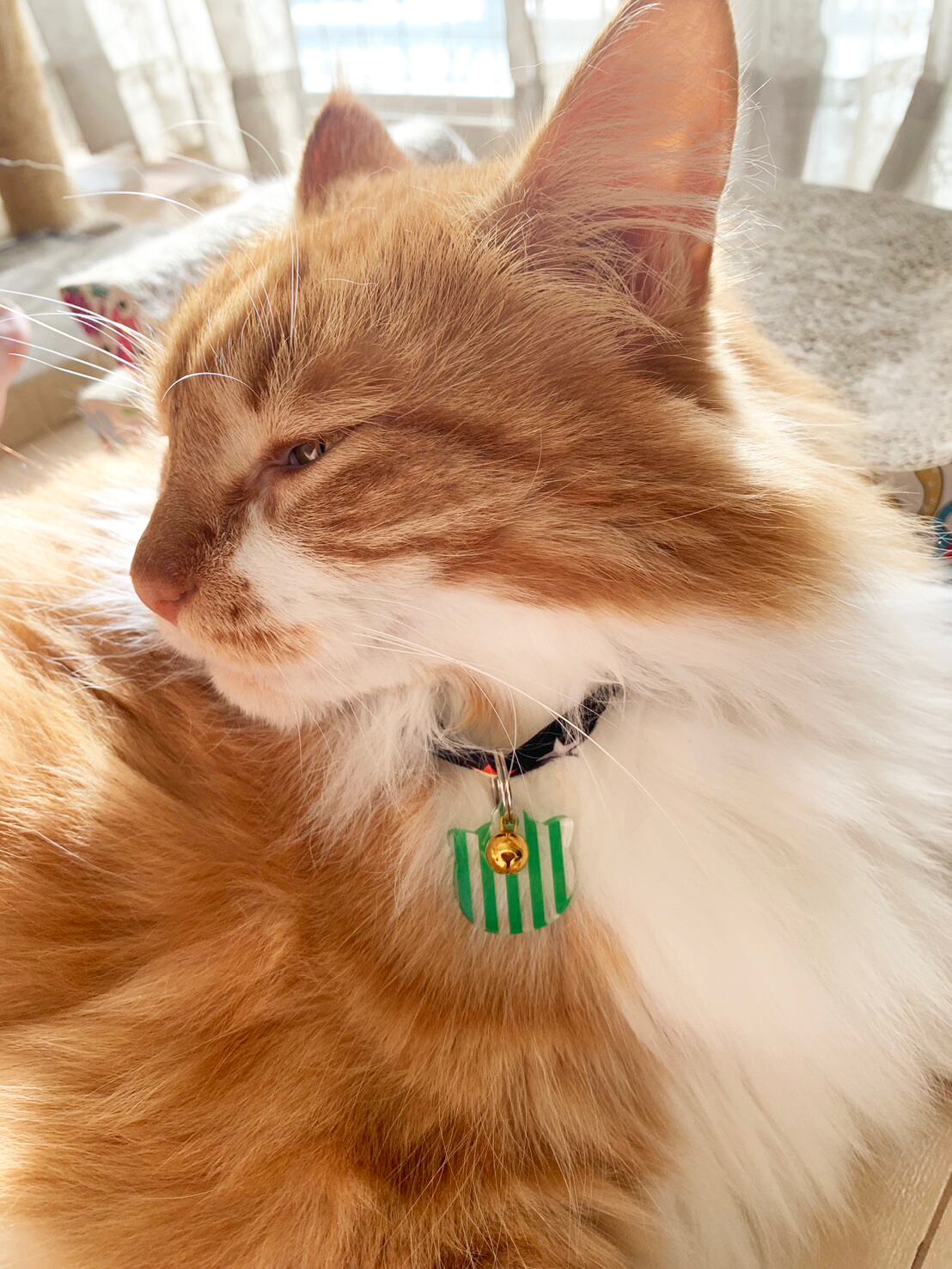 猫ちゃんとお揃いできる！ねこチャーム＆ねこピアスセット 全8種