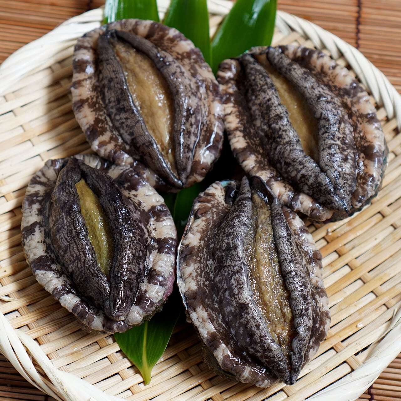 11月新物入荷予定※ 三陸産天然活アワビMサイズ 4個(約500g) | マルヤ五洋水産ネットショップ|南三陸のアワビ・めかぶ専門問屋 11月新物入荷予定※ 三陸産天然活アワビMサイズ 4個(約500g) | マルヤ五洋水産ネットショップ|南三陸のアワビ・めかぶ専門問屋
