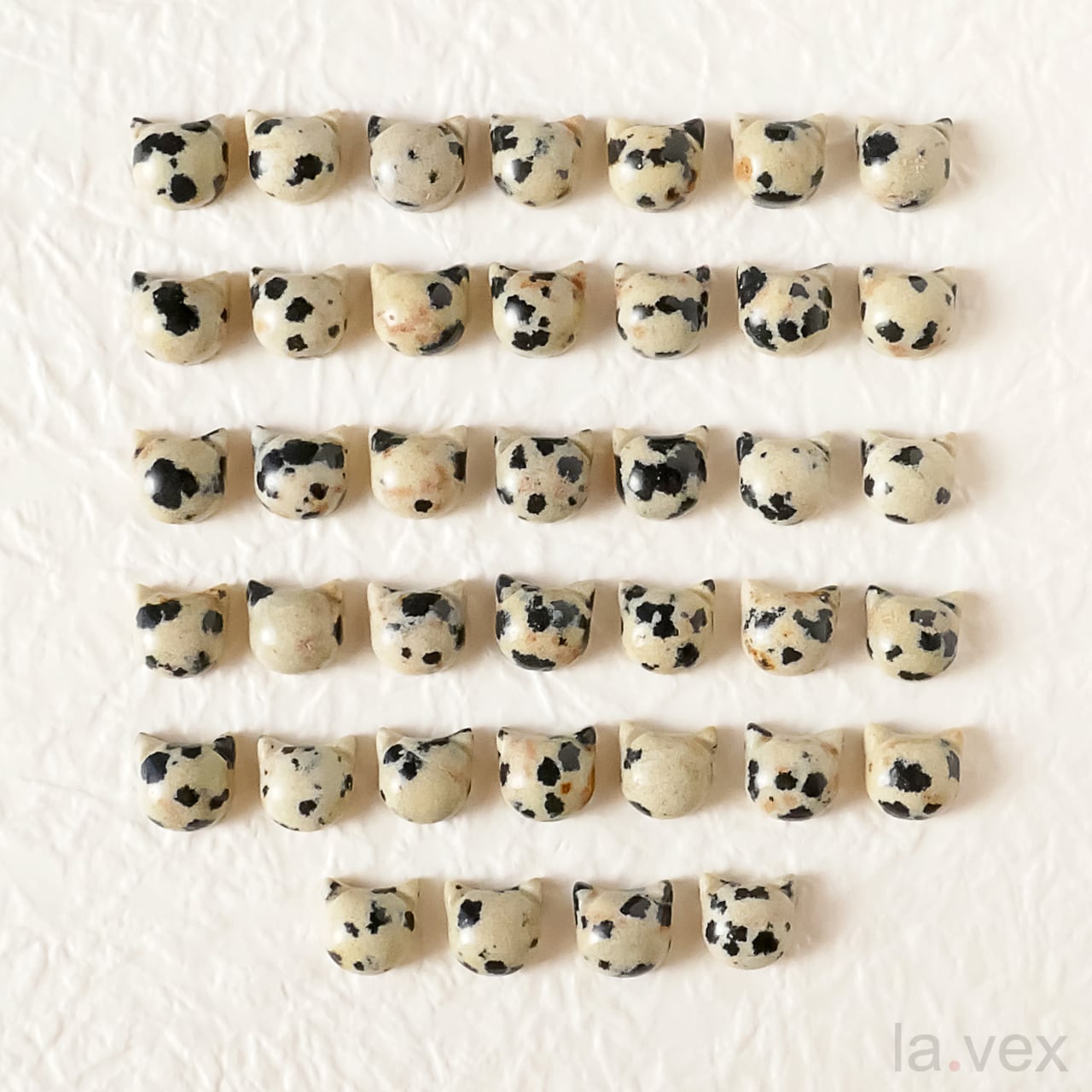 2026サマーセール 色柄お任せミケにゃイト カボッション ねこ飼いませ