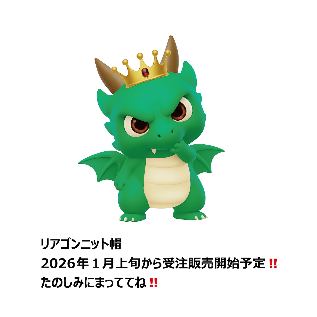 リアゴンニット帽