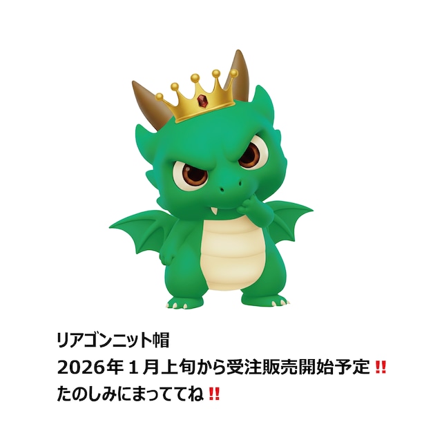 リアゴンニット帽