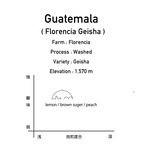 グアテマラ / フロレンシア  ゲイシャ 200g
