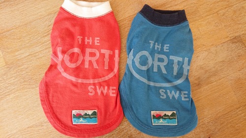 サニースポーツ THE NORTHTシャツ