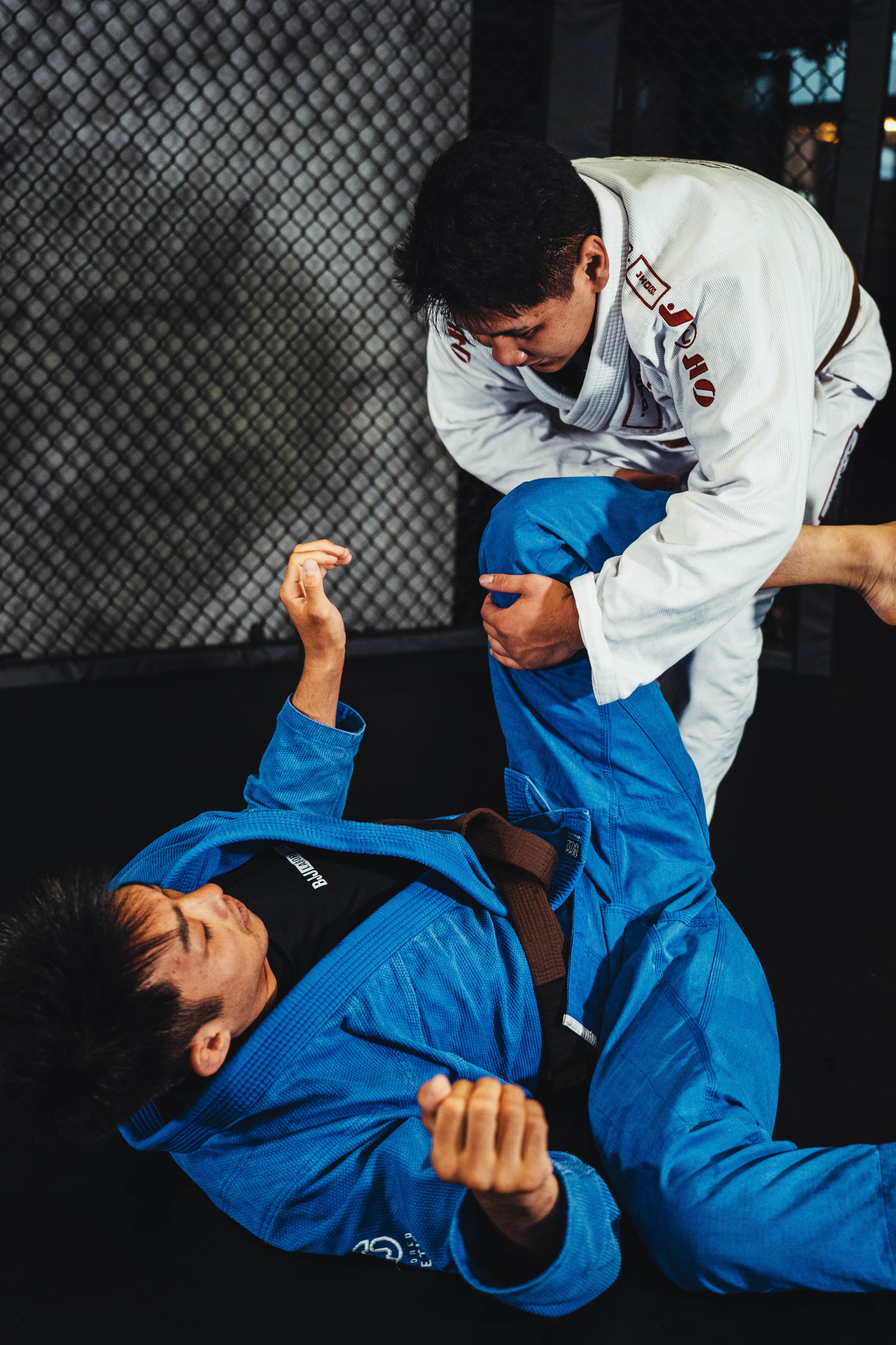 着顔生トランプ　ロバート　インパルス　タカアンドトシ TAILOR TOYO】テーラー東洋『RED EAGLE LANDSCAPE リバーシブル