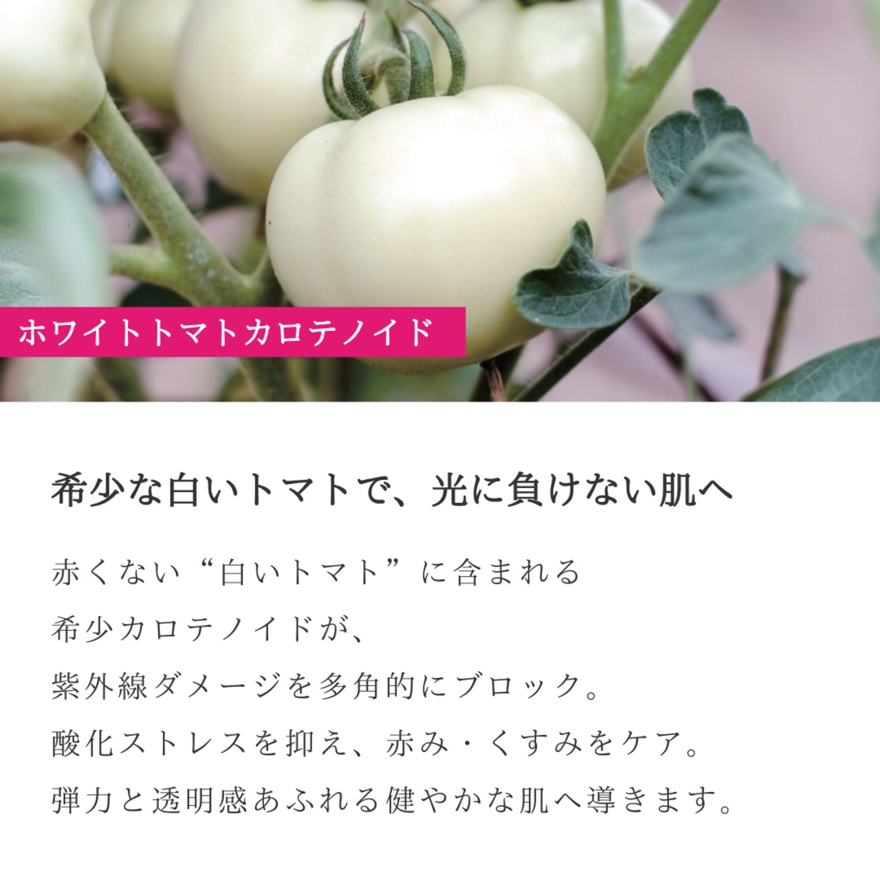 2セット❄︎クリスタルザクロ UV ホワイトカプセル