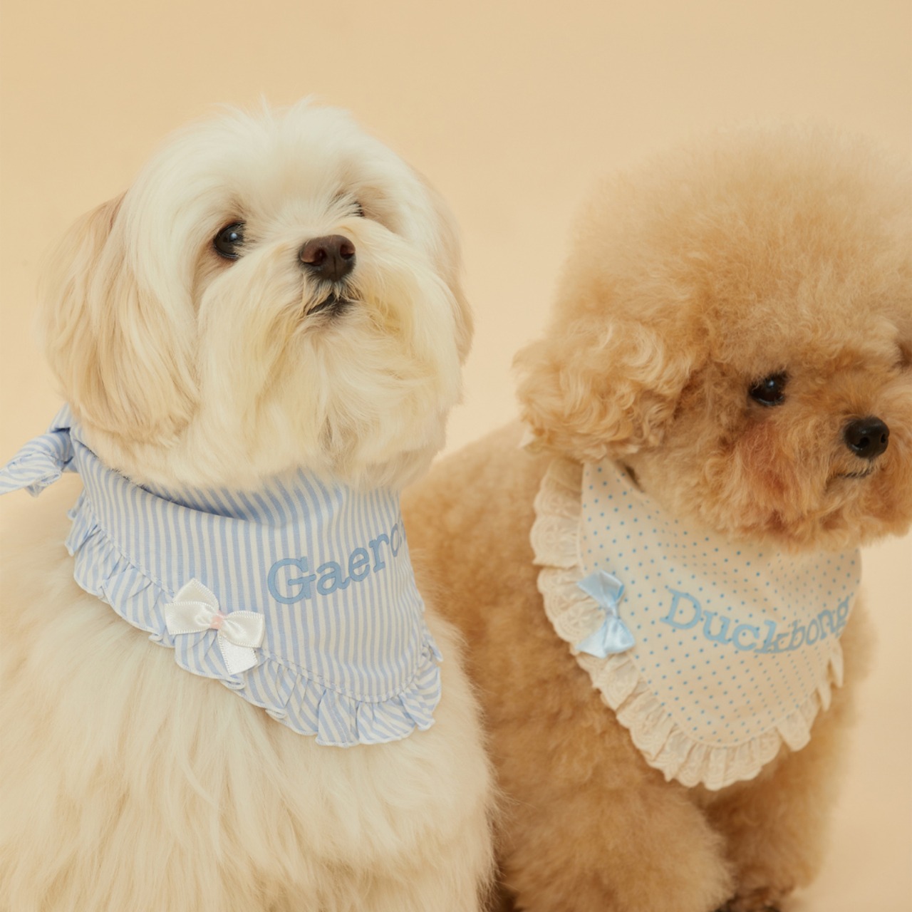【予約】[ thesallyslaw ] Maybel Naming Bandana｜Blue stripe - 7