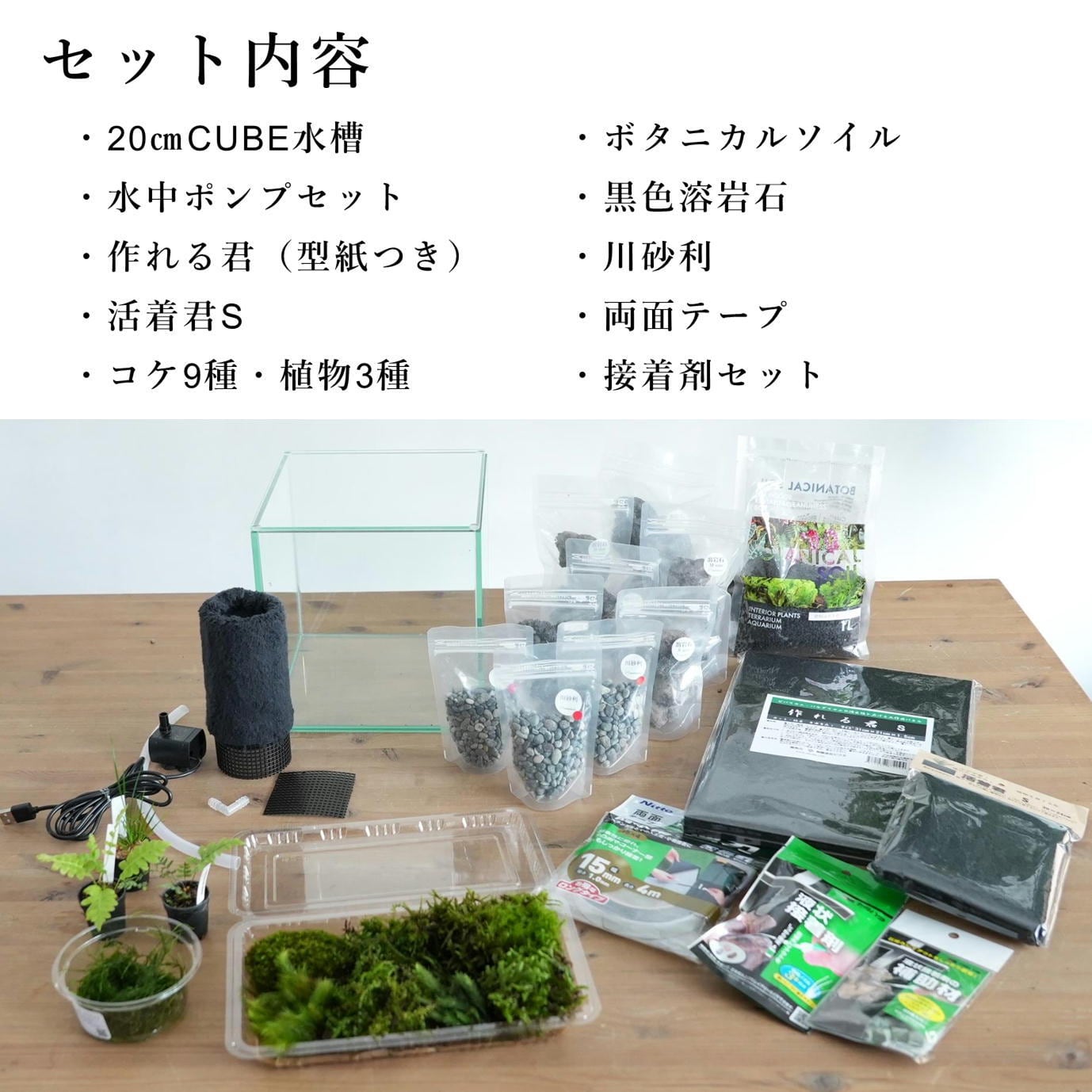 プレミアムキット】小さな滝のあるテラリウムキット ◇動画解説付き