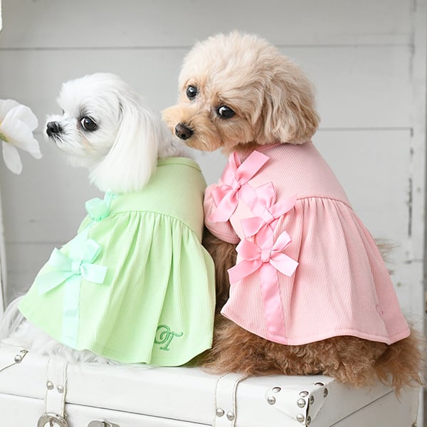 リボンワンピ OneOctave(ワンオクターブ) XS/S/M/L/2L/DM 犬服 小型犬 ドッグウェア トイプードル チワワ ポメラニアン
