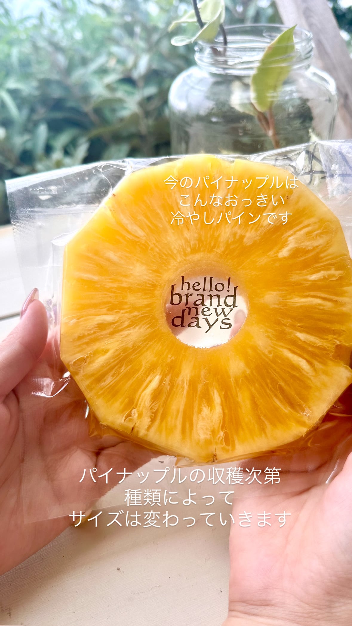 冷やしパイナップル 鹿児島県本土最南端南大隅町産 | hello! brand new