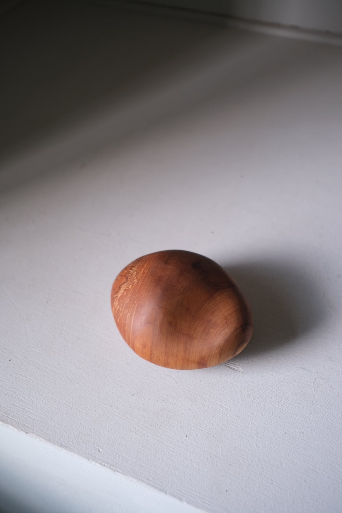 木の石 M ⑤ -タブの木- | TORINOKI FURNITURE