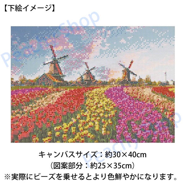 ビーズアート Amazon.co.jp: ダイヤモンドアート B'z ビーズ ロックバンド 5D