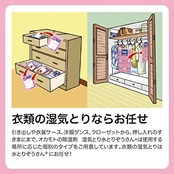 水とりぞうさん 引き出し・衣装ケース用/除湿剤 12シート入 ニオイ・カビ対策に