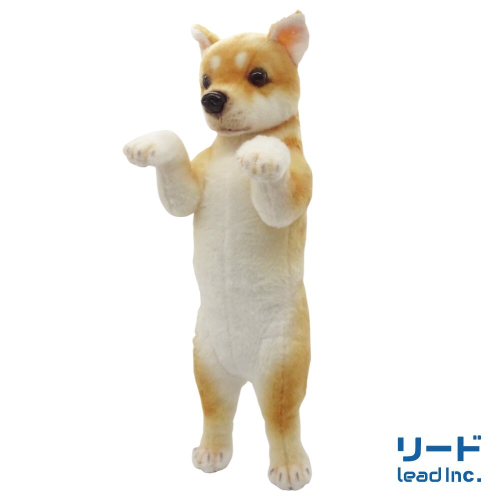 たっちぃZooわんこ 柴犬 | リードのおみせ Catail