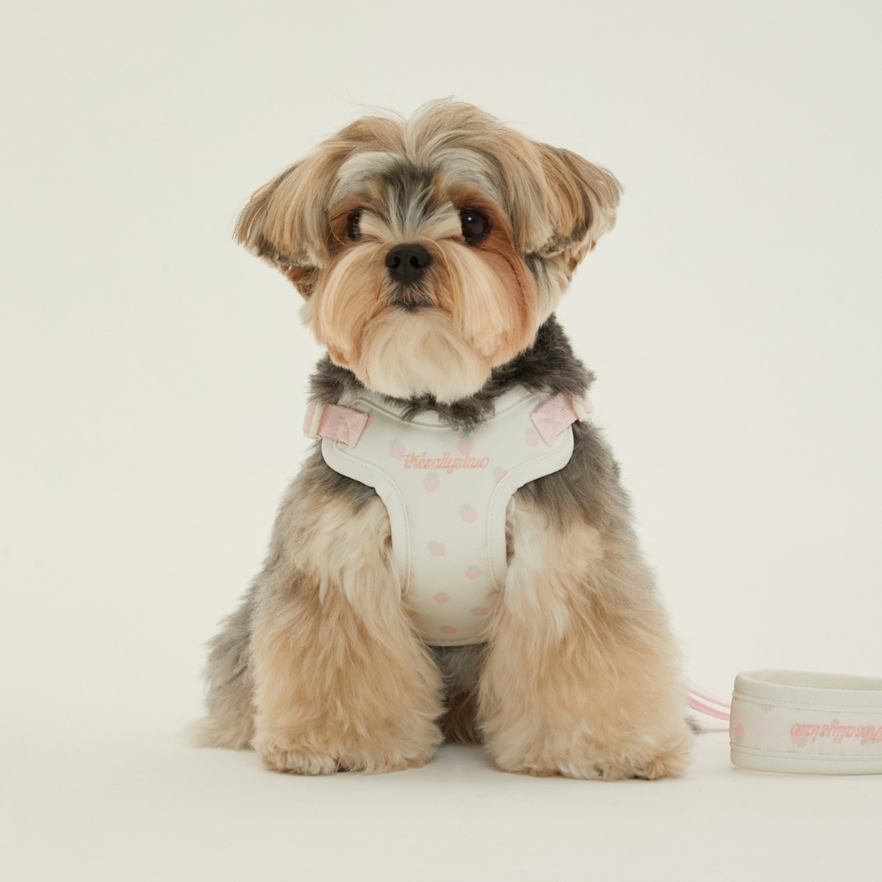 【予約】[ thesallyslaw ] Bailey cushioning harness｜Strawberry Blush - 10