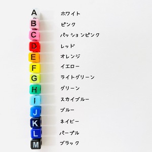 ネームストラップ大 (7文字以上)