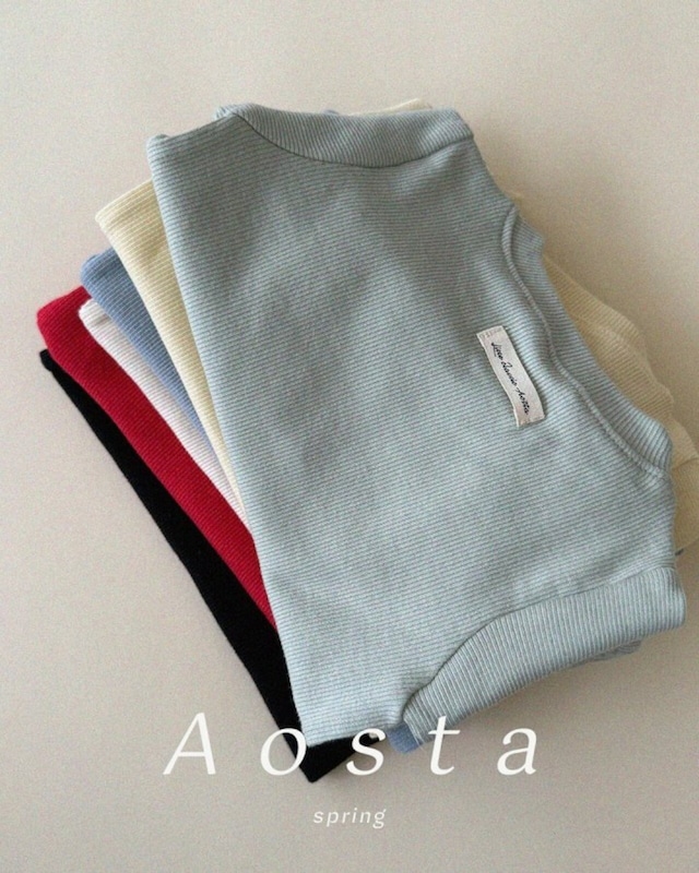 予約⌇aosta / Everyday T