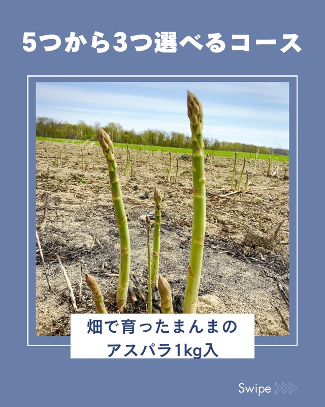 NEW!あったかファンクラブ・お好みを3つ選べる！【セレクトコース】