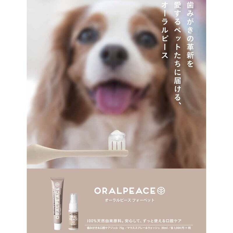 ORAL PEACE for PET(オーラルピース フォーペット)