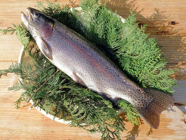 ギンヒカリ(水揚げ１尾の重さが1.0～1.2kg)