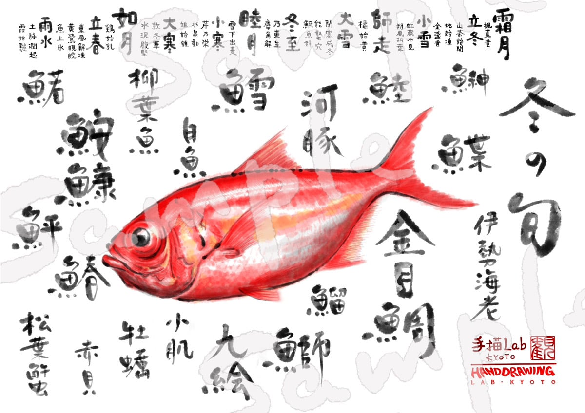 冬の旬 A1ポスター（金目鯛） | 手描きDESIGN Lab