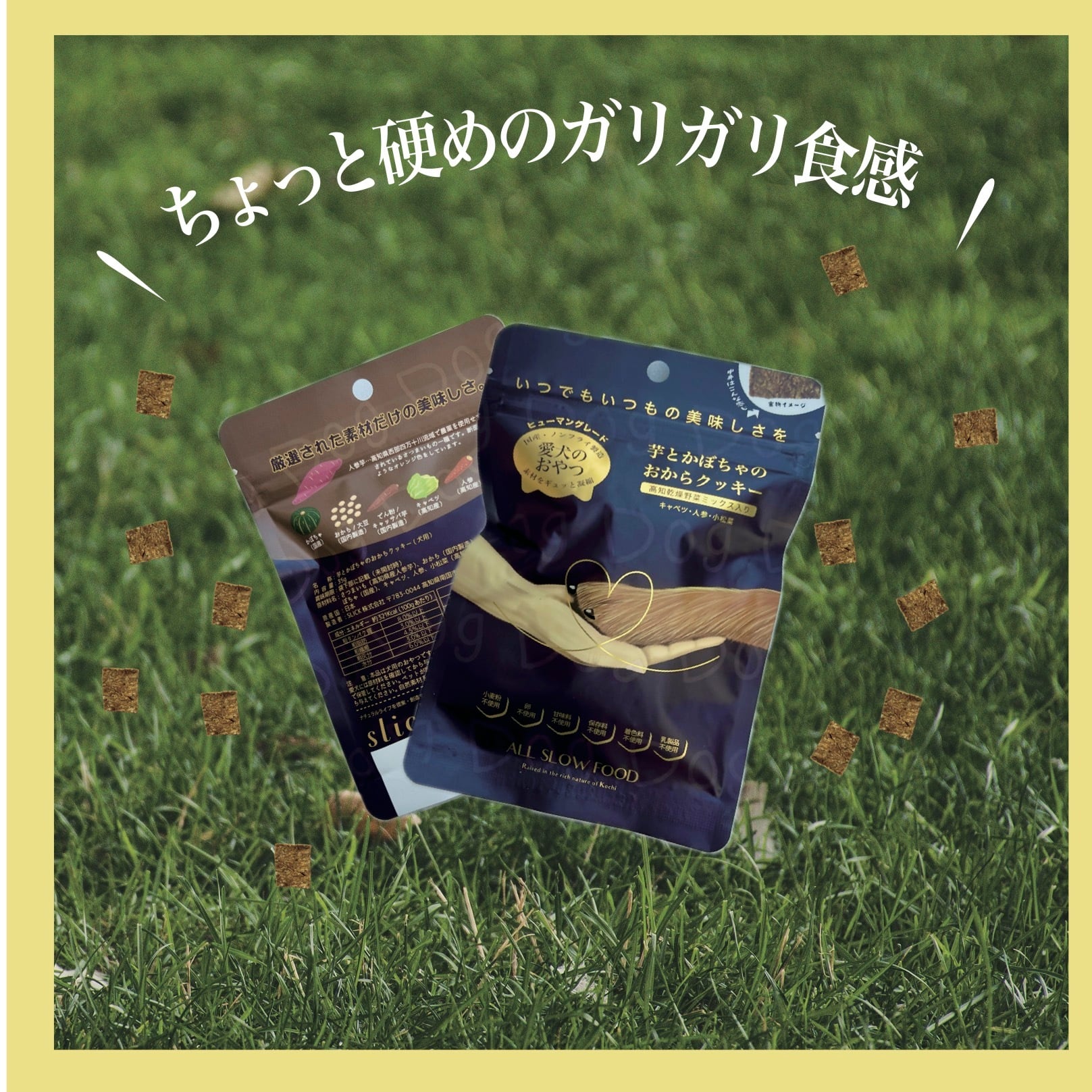 【愛犬用】【新発売】芋とかぼちゃのおからクッキー3袋+1袋プレゼントBOX