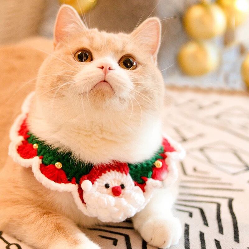 サンタクロースニットチョーカー クリスマス 猫