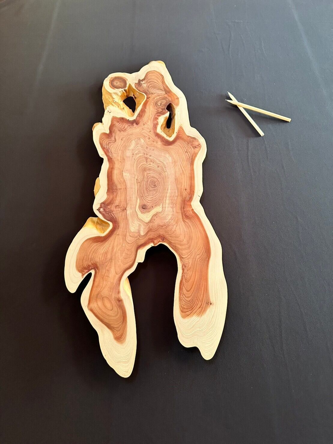 レジンテーブル、貝塚伊吹　輪切 レジンテーブル、貝塚伊吹 輪切