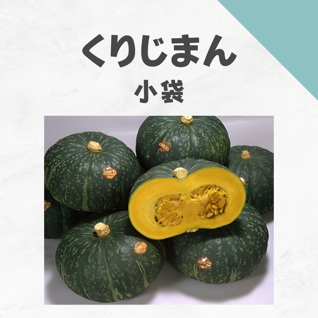 くりじまん　カボチャ種子・小袋