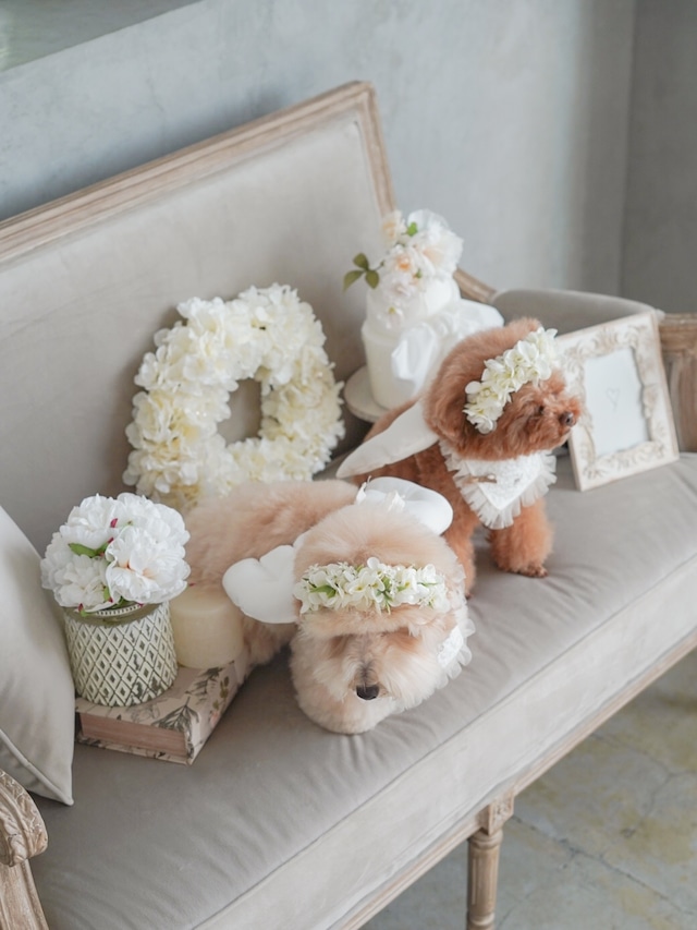 〈レンタル〉WHITE