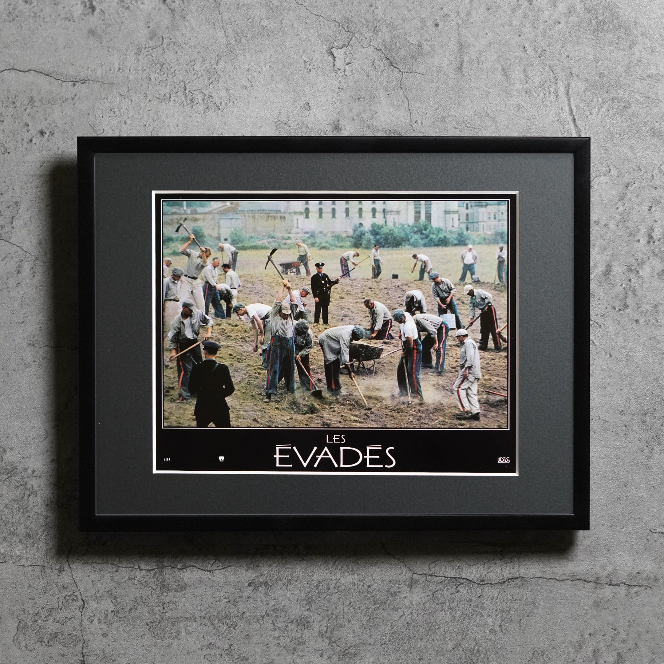 1994(1995) / The Shawshank Redemption / French lobby card / 396x306mm【LC00000237108】