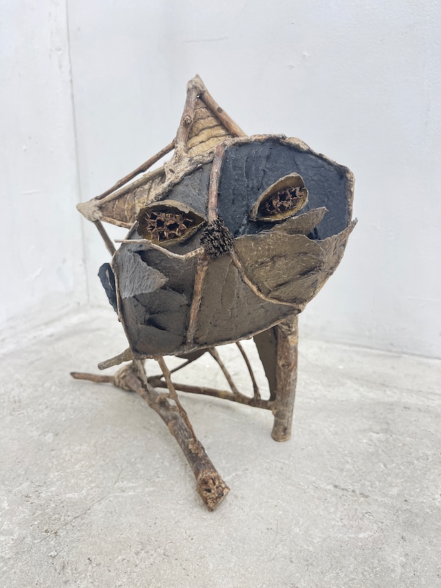 さくまいずみ｜「いっぽんヒゲのねこ」（にがつのねこといぬ展2026）