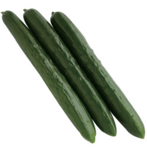 キュウリ「つやみどり」（100粒） 画像