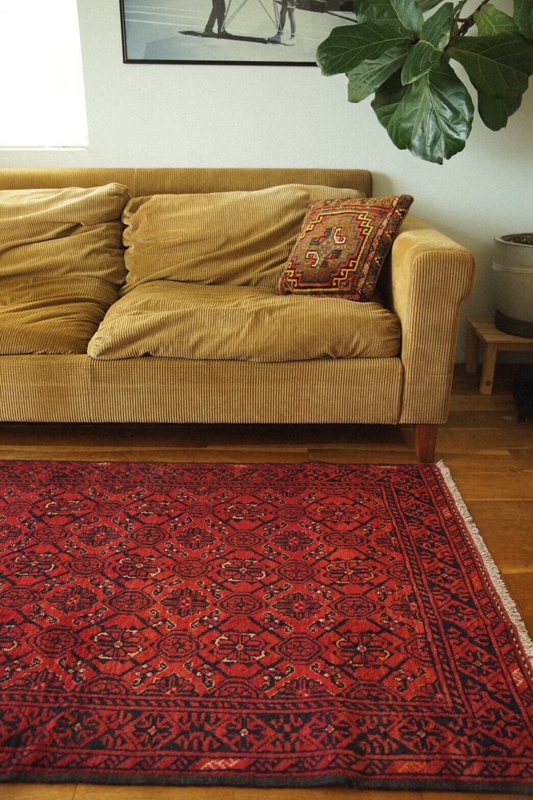 1128-Vintage Turkmen Bashiri rug