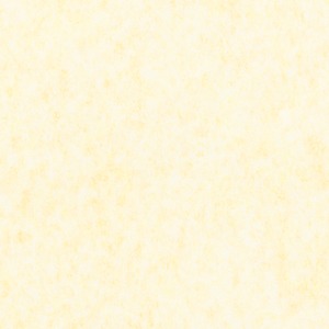 典具帖紙　ふぶき染　No.5