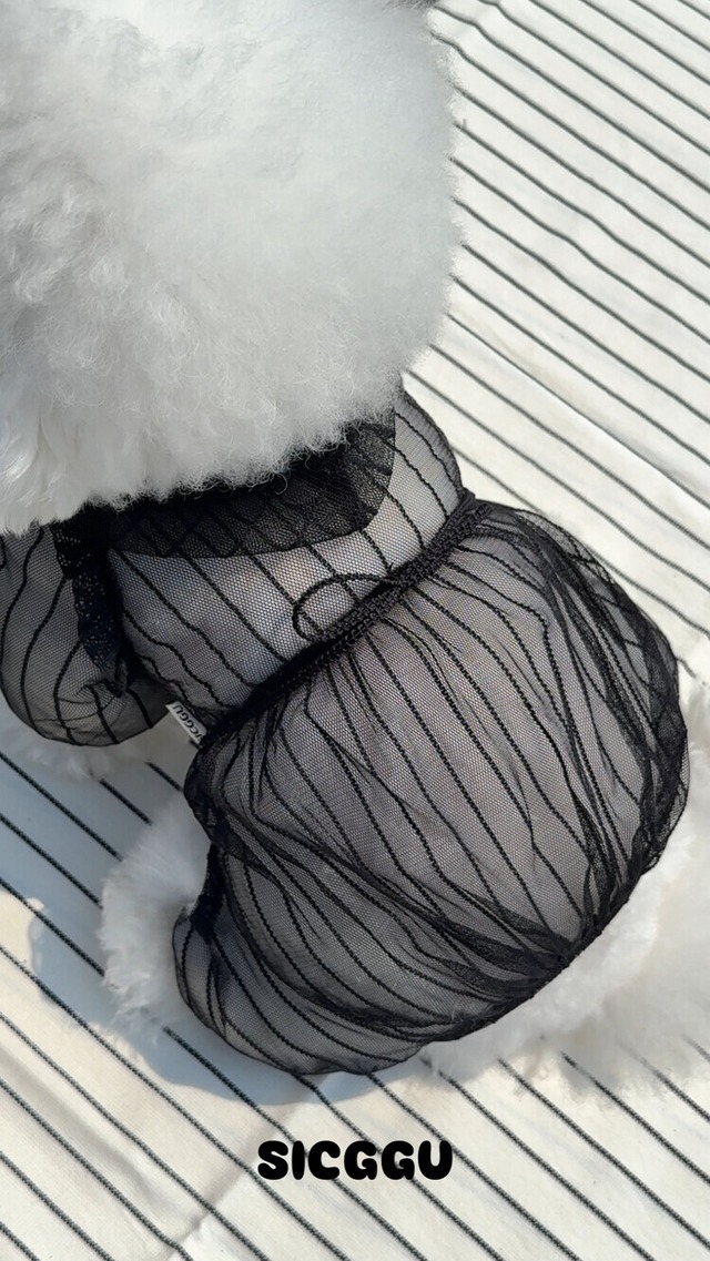 〈 即納アイテム 〉SICGGU ブラックバグオールインワン