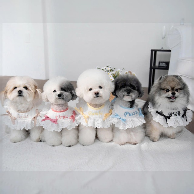 【予約】Riley Ballet Core Cape〈6color〉 / mymay　韓国犬服