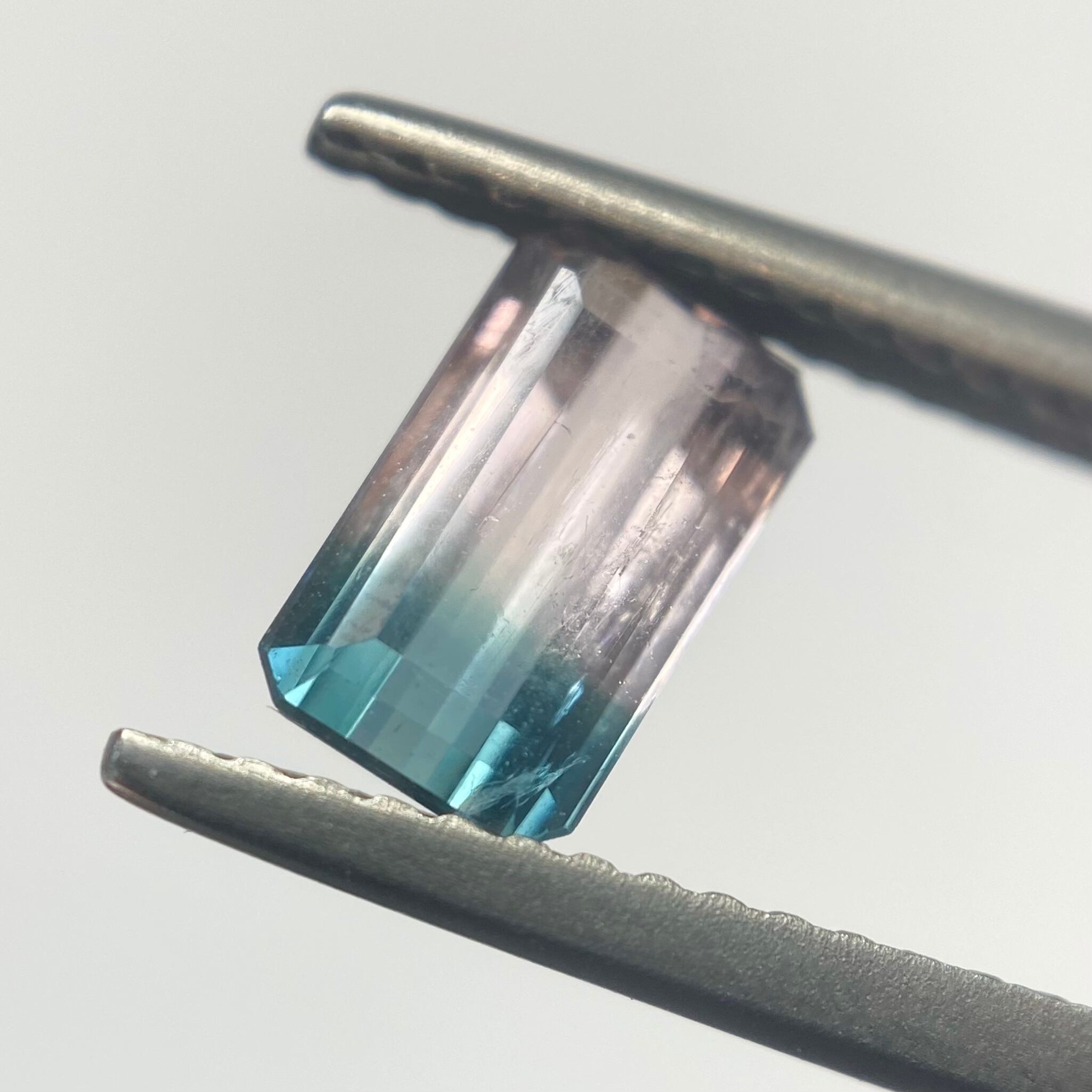 桜と海　トルマリン