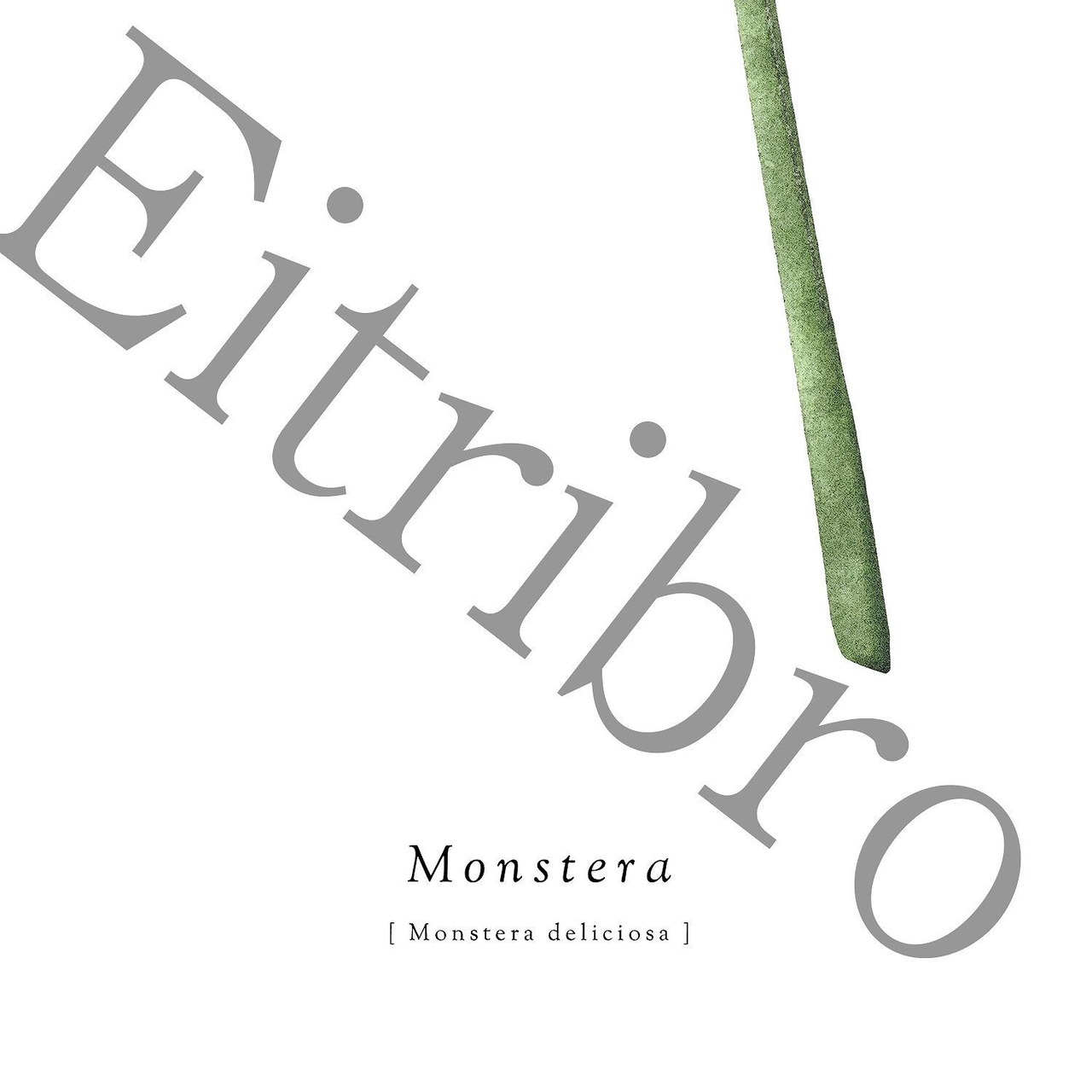 アートポスター / S.Monstera　eb096